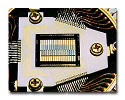 X-ray quantum calorimeter array